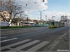 brno (25)